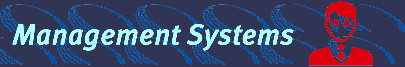  Management Systems
